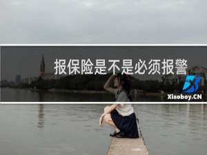 报保险是不是必须报警