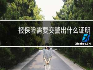 报保险需要交警出什么证明