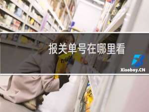 报关单号在哪里看（报关单号）