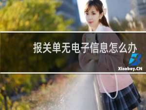 报关单无电子信息怎么办