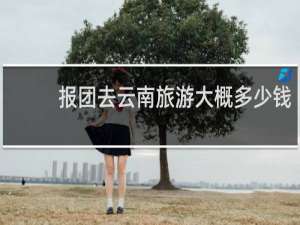 报团去云南旅游大概多少钱