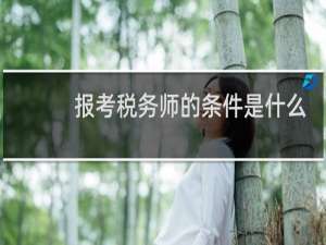 报考税务师的条件是什么