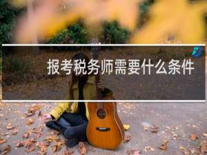 报考税务师需要什么条件