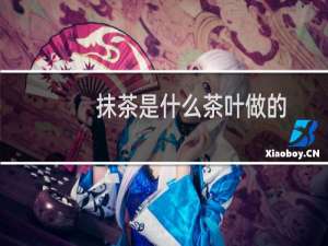 抹茶是什么茶叶做的