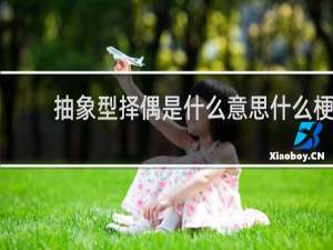 抽象型择偶是什么意思什么梗