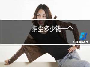 拂尘多少钱一个
