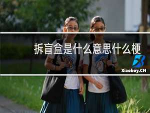 拆盲盒是什么意思什么梗