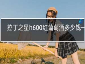 拉丁之星h600红葡萄酒多少钱一瓶