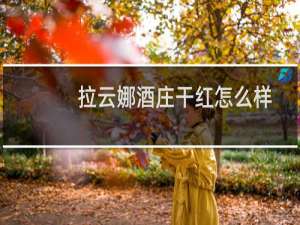 拉云娜酒庄干红怎么样