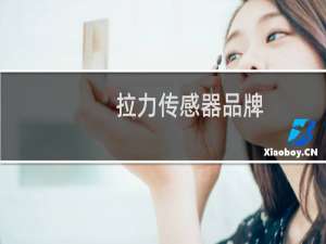拉力传感器品牌