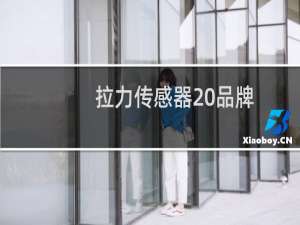 拉力传感器 品牌