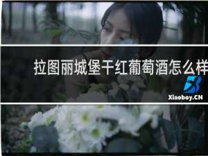 拉图丽城堡干红葡萄酒怎么样