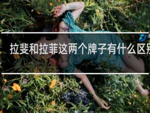 拉斐和拉菲这两个牌子有什么区别吗