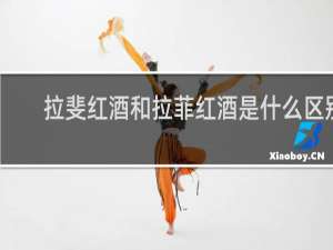 拉斐红酒和拉菲红酒是什么区别