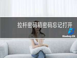 拉杆密码箱密码忘记打开