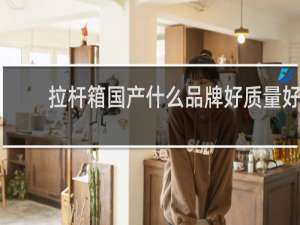 拉杆箱国产什么品牌好质量好