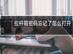 拉杆箱密码忘记了怎么打开
