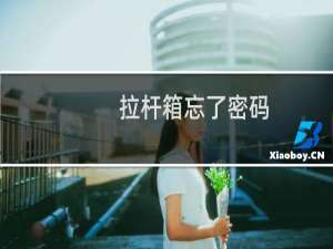 拉杆箱忘了密码