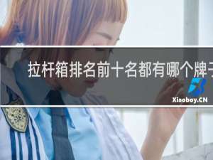 拉杆箱排名前十名都有哪个牌子