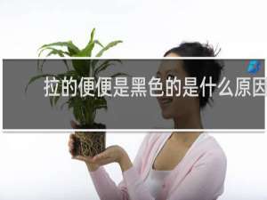 拉的便便是黑色的是什么原因