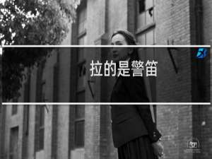 拉的是警笛，入耳的却是悲泣什么梗