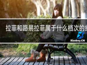 拉菲和路易拉菲属于什么档次的红酒