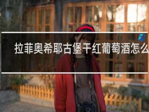 拉菲奥希耶古堡干红葡萄酒怎么样