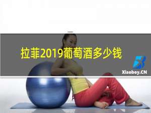 拉菲2019葡萄酒多少钱