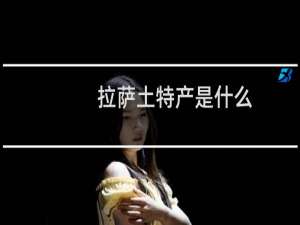 拉萨土特产是什么