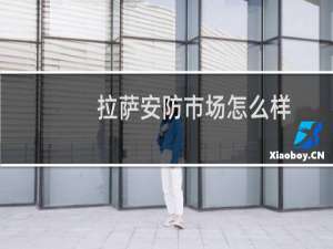 拉萨安防市场怎么样