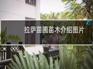 拉萨苗圃苗木介绍图片
