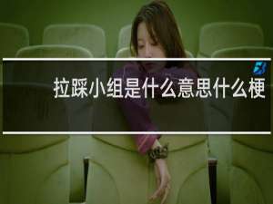 拉踩小组是什么意思什么梗