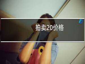 拍卖 价格