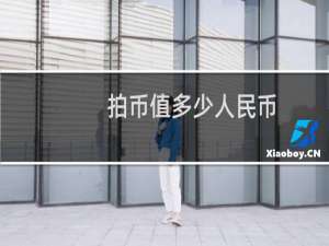 拍币值多少人民币