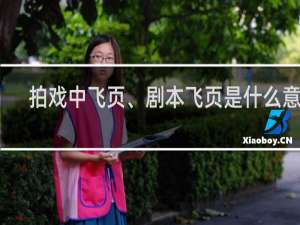 拍戏中飞页、剧本飞页是什么意思，通告上的飞页是什么什么梗