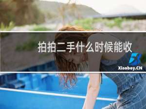 拍拍二手什么时候能收到钱（ppe是什么意思啊）