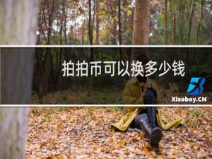拍拍币可以换多少钱