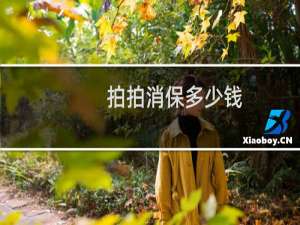 拍拍消保多少钱