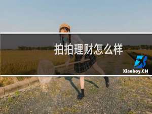 拍拍理财怎么样