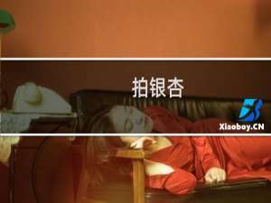 拍银杏