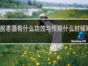 拐枣酒有什么功效与作用什么时候喝最好