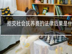 拒交社会抚养费的法律后果是什么