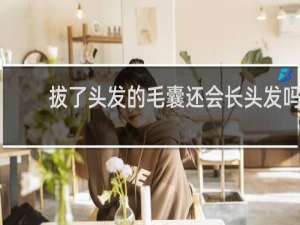 拔了头发的毛囊还会长头发吗