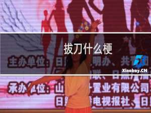 拔刀什么梗