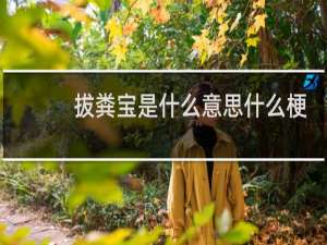 拔粪宝是什么意思什么梗