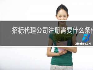 招标代理公司注册需要什么条件