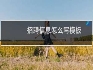 招聘信息怎么写模板