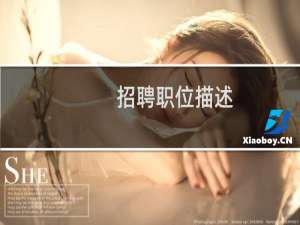 招聘职位描述