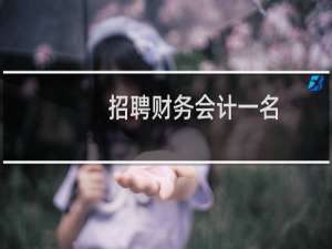 招聘财务会计一名