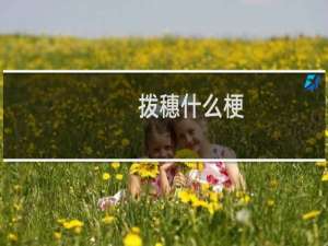 拨穗什么梗